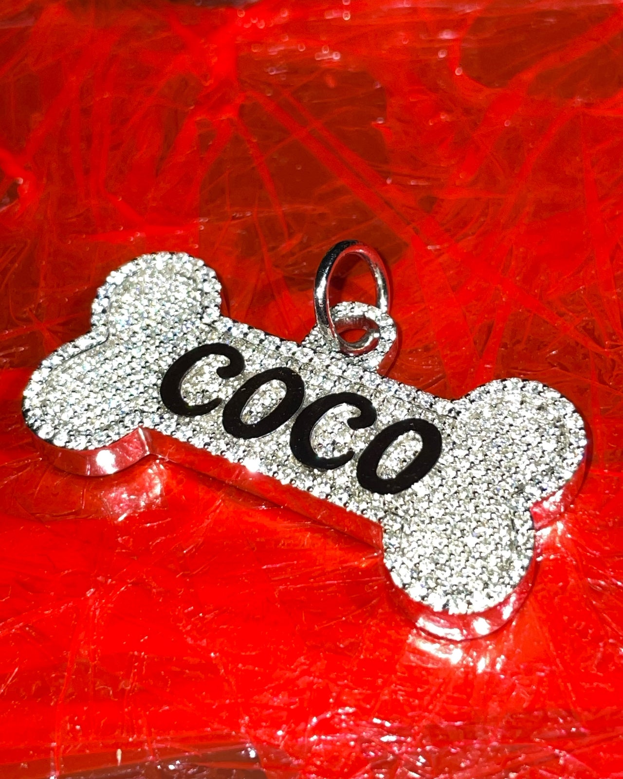 COCO puppy tag shot on red background