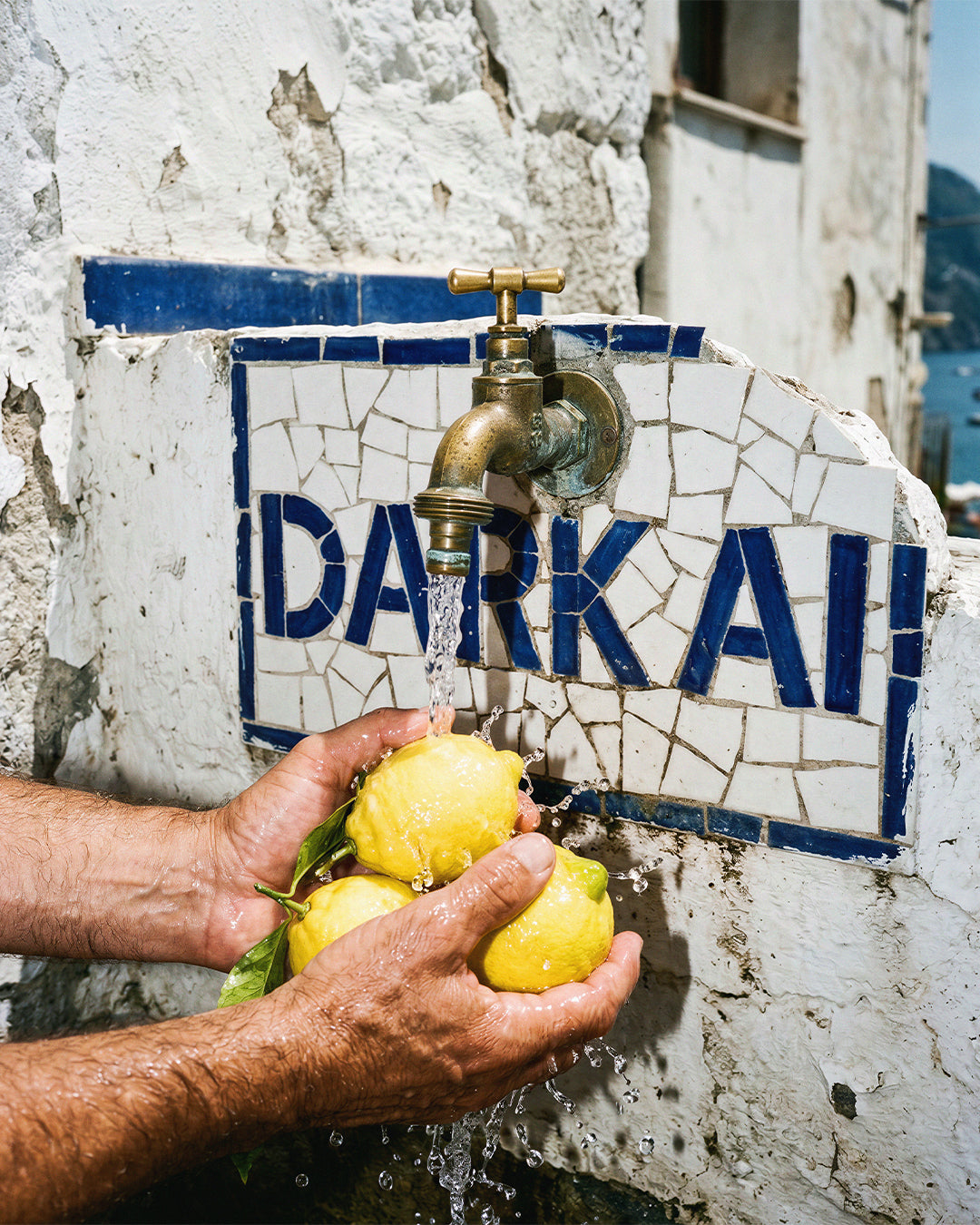 DARKAI CesX x DARKAI Campaign Image 3